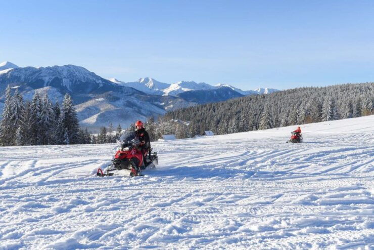 Zakopane: Snowmobiles Expedition and Optional Bonfire - Activity Information