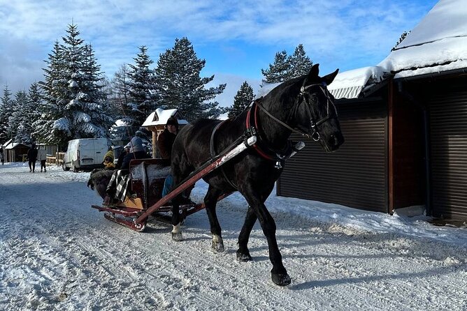 Zakopane Tour From Krakow With Food&Drink Tasting &Hotel Pick up - Tour Highlights