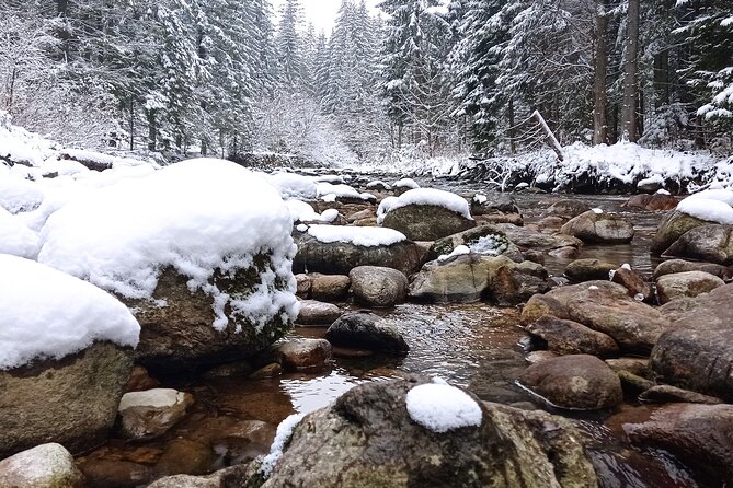 Zakopane Tour With Private Transport From Krakow - Accessibility Information