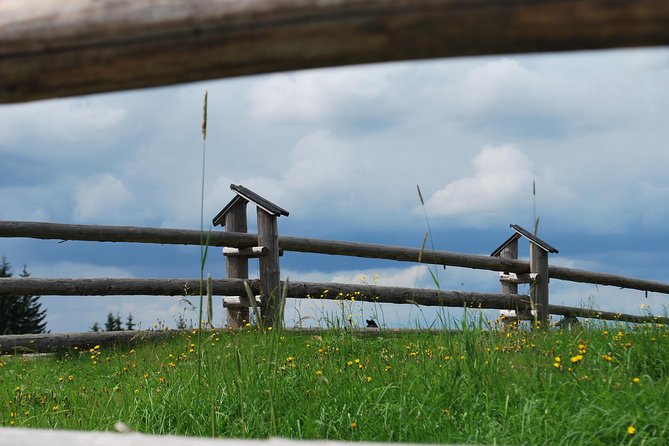 Zakopane Tour With Private Transport From Krakow - Additional Considerations