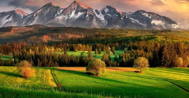 Zakopane Transfer From/To Krakow - Company Background