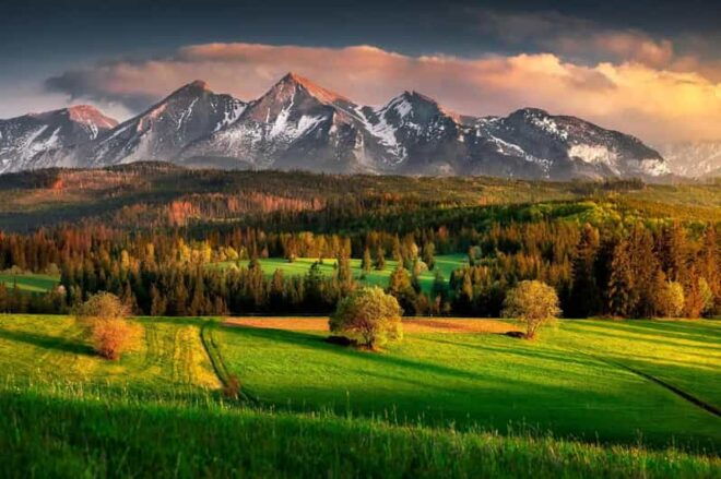 Zakopane Transfer From/To Krakow - Included Amenities