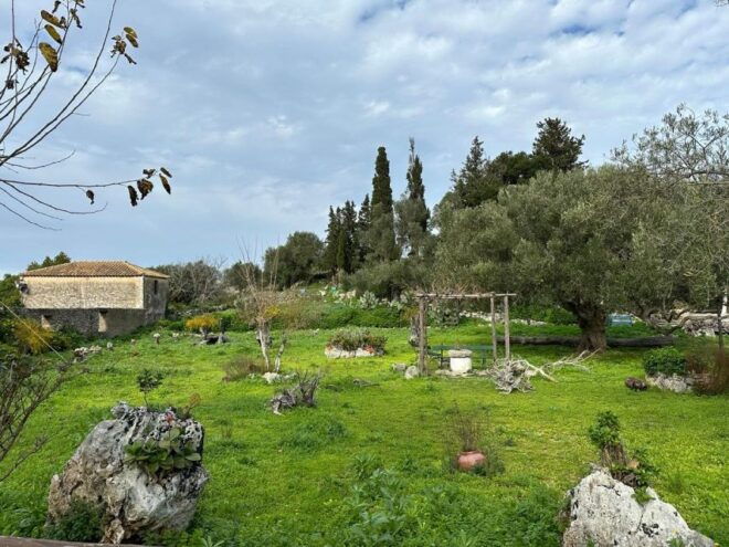 Zakynthos 4x4 Off-Road Experience With Lunch - Experience Highlights and Inclusions