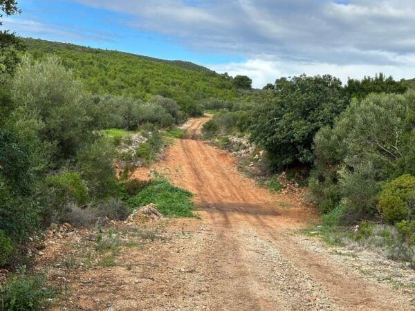 Zakynthos 4x4 Sunset Safari - Booking and Contact Details
