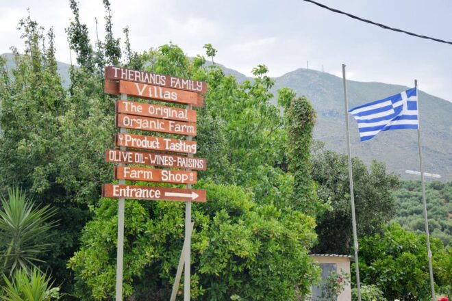 Zakynthos: Full Day Tour Sea & Land Exloration - Customer Reviews and Feedback