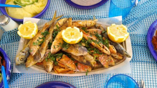 Zakynthos: Full-Day Traditional Eco-Fishing Tour With Food - Important Information