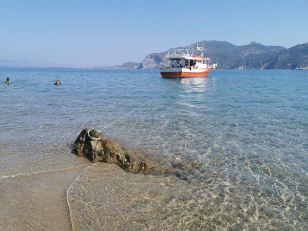 Zakynthos: Full-Day Traditional Eco-Fishing Tour With Food - Booking and Cancellation Policy
