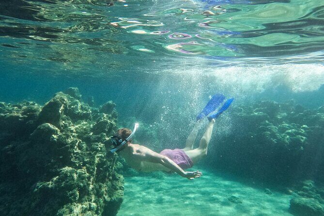 Zakynthos: Glass Bottom Turtle Boat Tour to Keri Caves & Islands - Who Would Love This Experience?