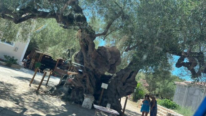 Zakynthos: Highlights Tour Xigia Shipwrek Dinner in Kampi - Tour Location