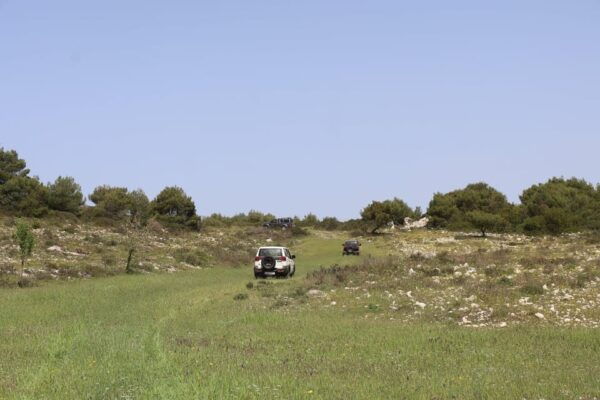 Zakynthos: Jeep Safari Day Exploration: Sea & Land - Scenic Landmarks