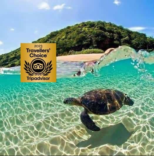 Zakynthos Private Boat: Turtles & Marathonisi Island (max5) - Inclusions and Amenities