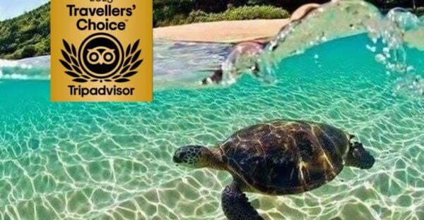 Zakynthos Private Boat: Turtles & Marathonisi Island (max5) - Frequently Asked Questions