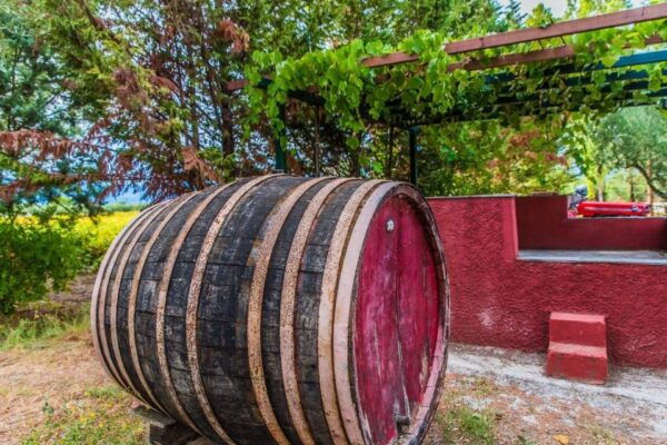 Zakynthos: Private Tour With Wine & Olive Oil Tasting - Frequently Asked Questions