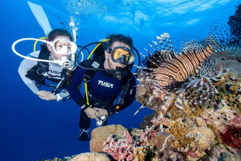 Zakynthos: Scuba Diving Experience with Underwater Photos - Exploring Zakynthos: A Closer Look at the Scuba Diving Experience with Underwater Photos