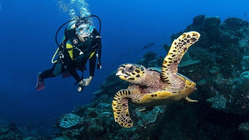 Zakynthos: Scuba Diving Experience with Underwater Photos - What Reviewers Say