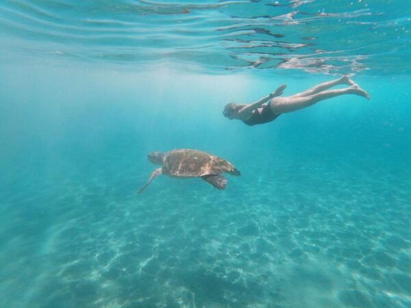 Zakynthos: Turtle Island Cruise With Swimming Stop - Recommendations