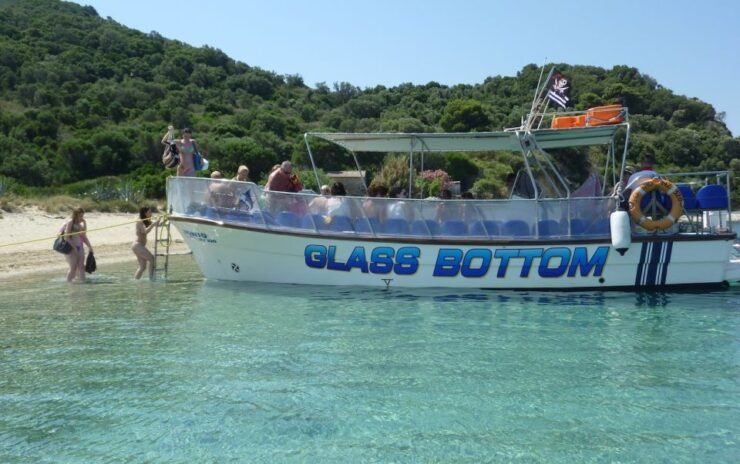 Zakynthos: Turtle Spotting Cruise on a Glass-Bottom Boat - Experience Highlights