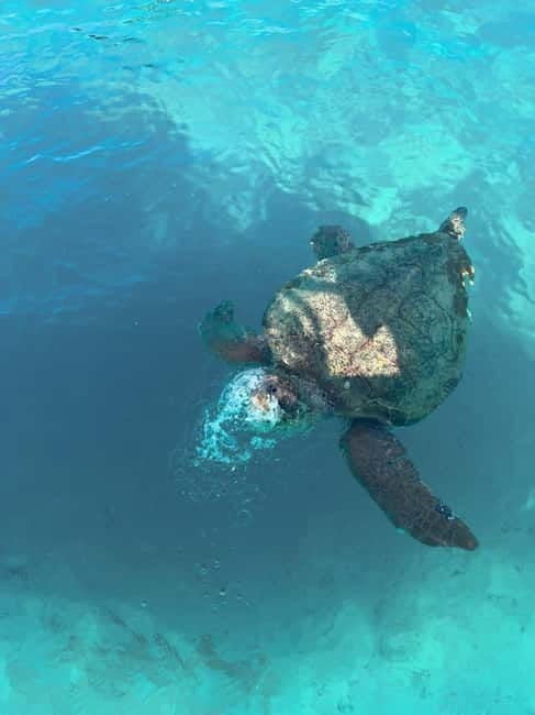 Zakynthos: Turtles, Marathonisi & Keri Caves Speedboat Tour - The Itinerary: From Start to Finish