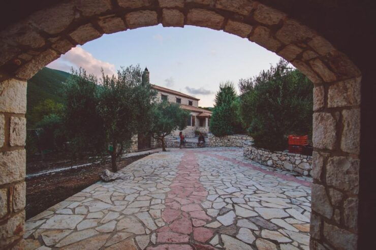Zakynthos: Vineyard & Winery Tour With Local Winemaker - Experience Highlights