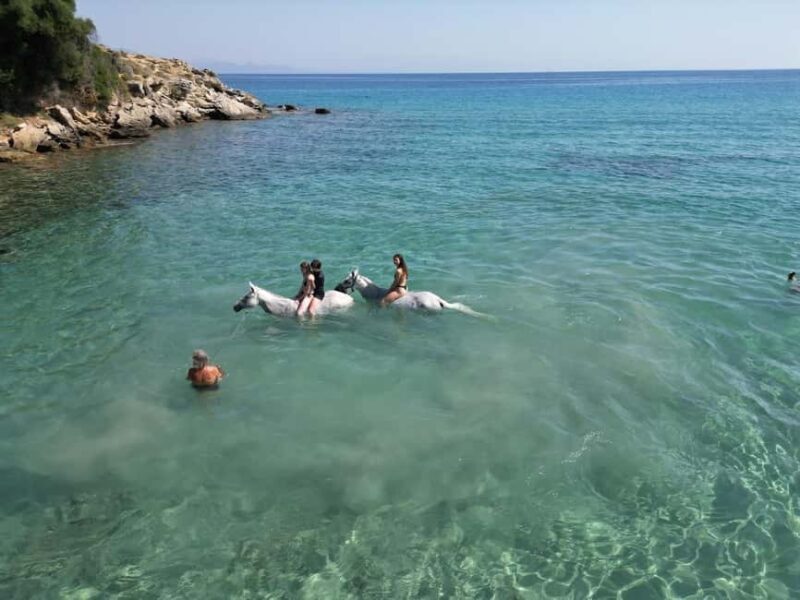 Zakynthos: Yotomu Horse Riding and Swimming Experience - What Reviewers Say