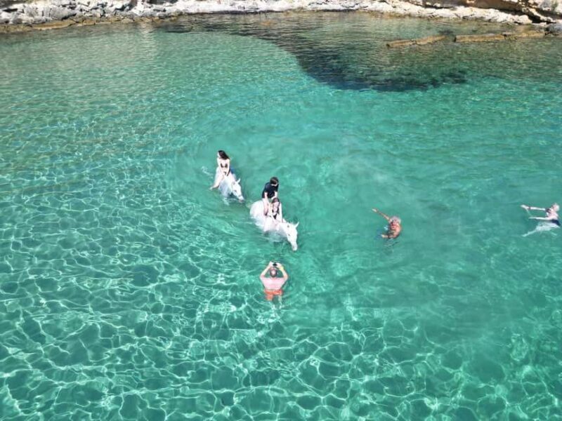 Zakynthos: Yotomu Horse Riding and Swimming Experience - FAQ