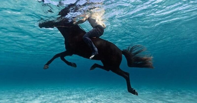 Zakynthos: Yotomu Horseback Riding Tour - Practical Details That Matter