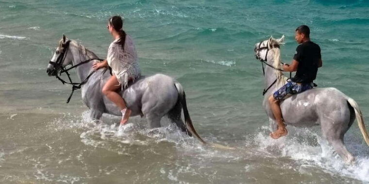 Zakynthos: Yotomu Horseback Riding Tour - Authentic Experiences from Reviewers