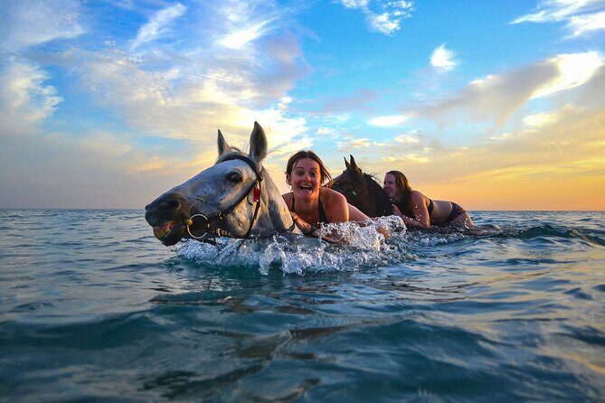 Zakytnhos Horse Riding Swimming Experience - An In-Depth Look at the Experience