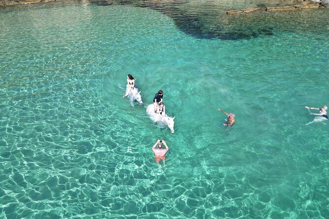 Zakytnhos Horse Riding Swimming Experience - Final Thoughts: Who Should Consider This Tour?