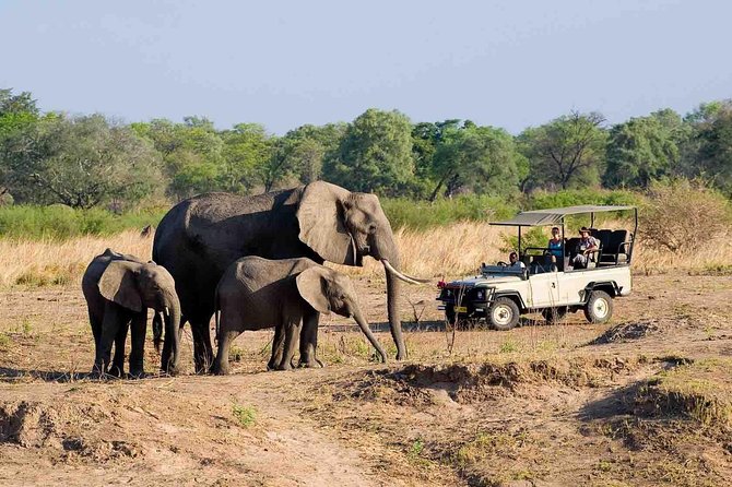 Zambezi National Park AM or PM Game Drive - Important Information