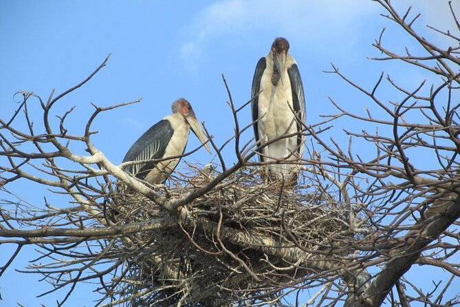 Zambezi National Park Game Drive - Victoria Falls - Customer Reviews