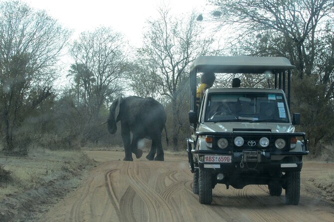 Zambezi National Park Game Drive - Victoria Falls - Frequently Asked Questions