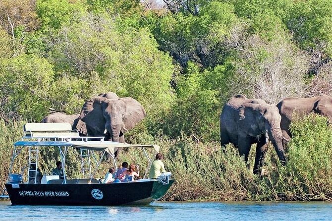 Zambezi River Safari - Tour Directions