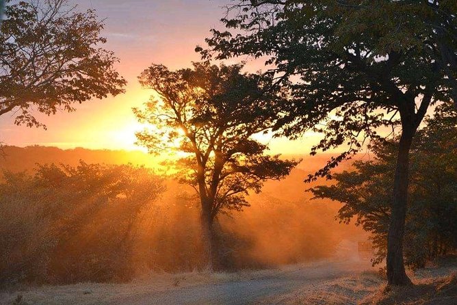 Zambezi Sundowner Cruise - Cultural Experience