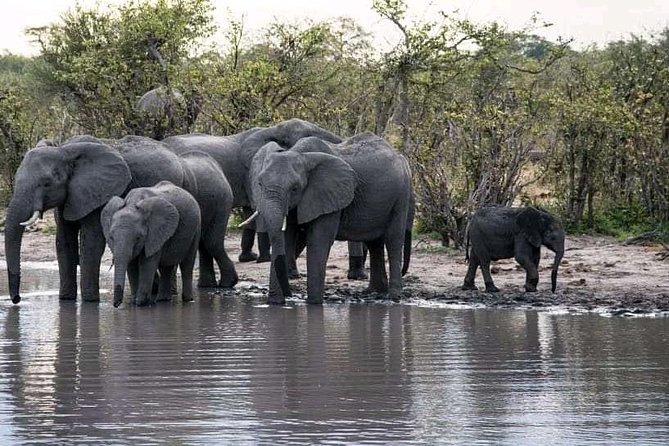 Zambezi Sundowner Cruise - Booking Benefits