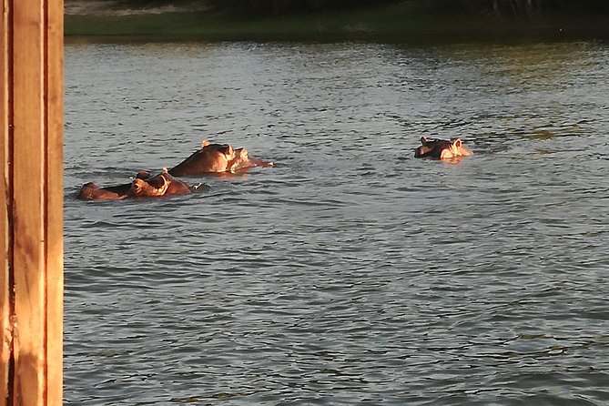 Zambezi Sunset Cruise - Victoria Falls - Additional Information