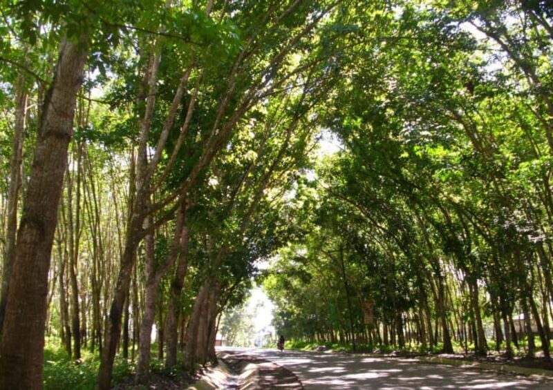 Zamboanga: Basilan Island Tour with Hotel Transfer - Good To Know