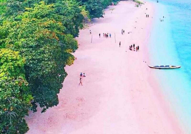 Zamboanga: Sta. Cruz Island Pink Sand Beach Day Trip - An In-Depth Look at the Zamboanga Pink Sand Beach Tour  