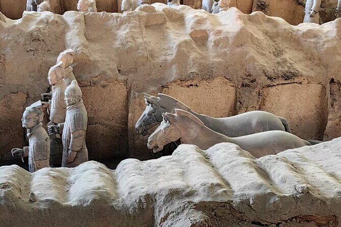 ZANBUS: Xi'an Qin Terra-cotta Warriors Bus Tour Departs at 8/9 AM - Practical Tips & Considerations