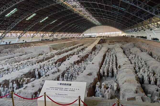 ZANBUS: Xi'an Qin Terra-cotta Warriors Bus Tour Departs at 8/9 AM - Is It Worth the Price?