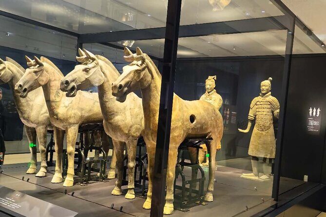 ZANBUS: Xi'an Qin Terra-cotta Warriors Bus Tour Departs at 8/9 AM - Analyzing the Value: Is it Worth It?