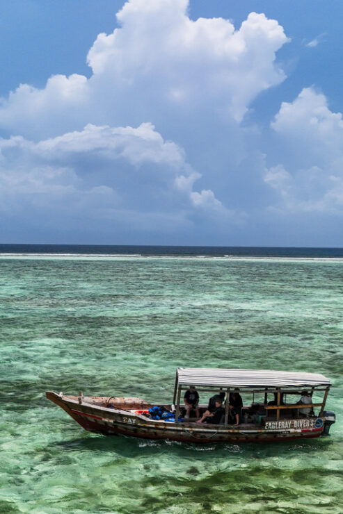 Zanzibar: 2 Day PADI Scuba Diver Course (+ 2 OW Dives) - Scheduling and Structure