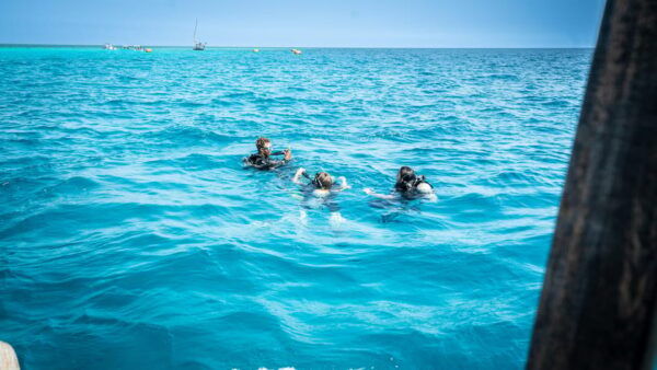 Zanzibar: 2 Day PADI Scuba Diver Course (+ 2 OW Dives) - Transportation and Meeting Point