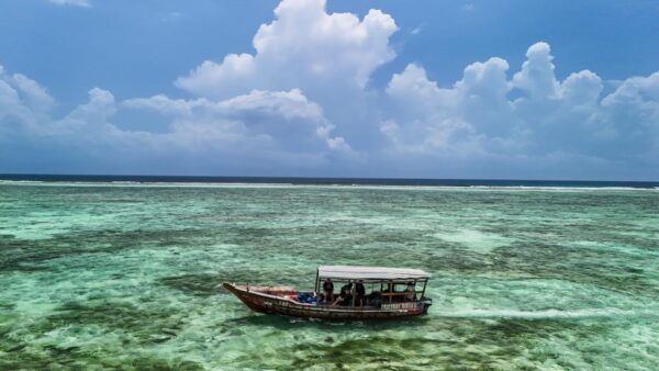Zanzibar: 2 Day PADI Scuba Diver Course (+ 2 OW Dives) - What to Expect Underwater