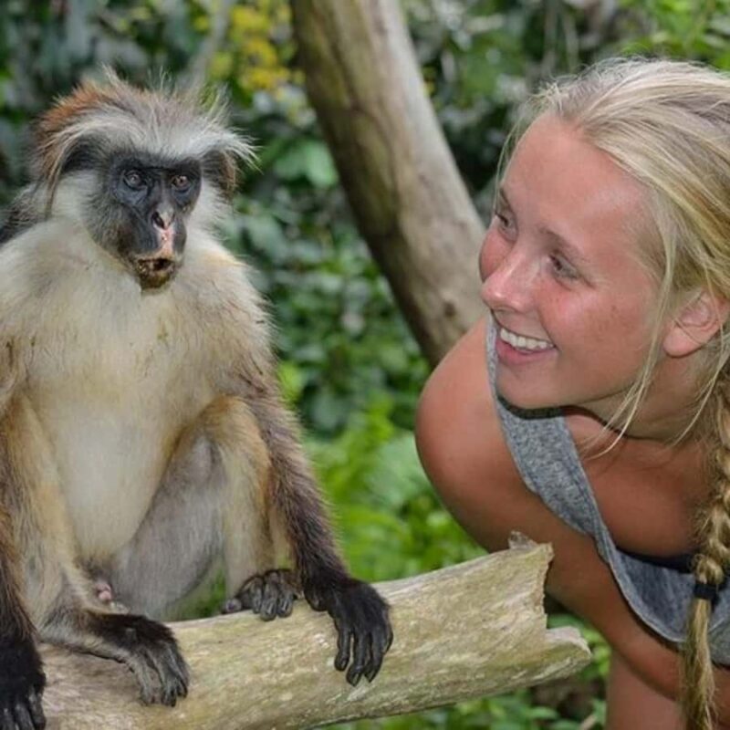 Zanzibar: Jozani Forest Tour - Good To Know