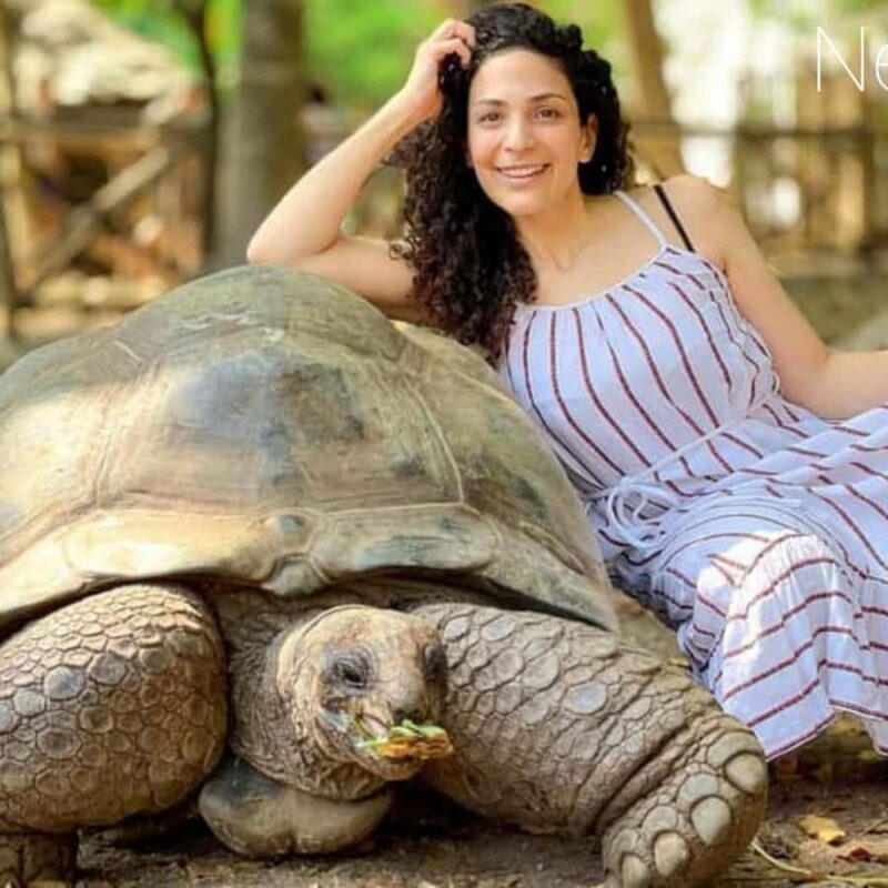 Zanzibar: Prison Island, Stone Town, & Spice Farm Tour - Practical Details and Value