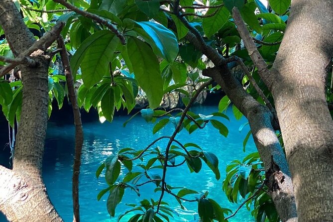Zanzibar; Prison Island; The Island Pongwe; Baraka Aquarium; Kendwa Beach - Discovering The Island Pongwe