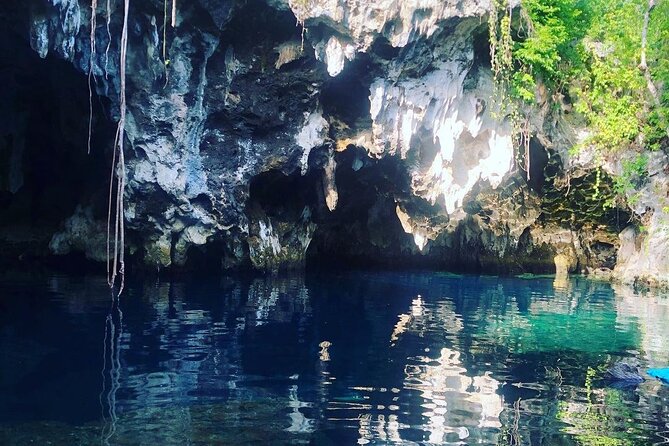 Zanzibar; Prison Island; The Island Pongwe; Baraka Aquarium; Kendwa Beach - Underwater Wonders at Baraka Aquarium