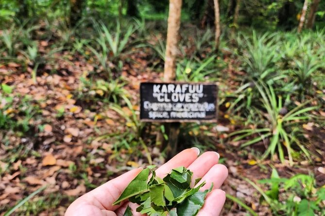 Zanzibar Spice Farm Tour and Cooking Class - Itinerary Overview
