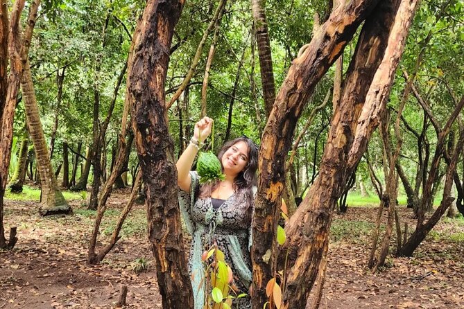 Zanzibar Spice Farm Tour and Cooking Class - Pickup Information